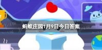 冬天树为什么要刷白石灰 蚂蚁庄园冬天树木刷白灰的作用