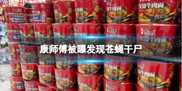 康师傅被曝发现苍蝇干尸 康师傅方便面中发现苍蝇干尸