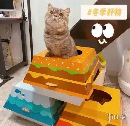 麦当劳猫窝多少钱 麦当劳猫窝套餐价格介绍