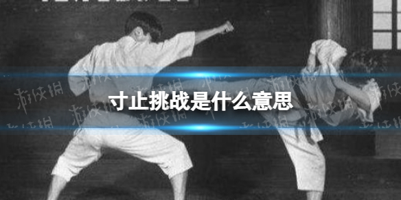 寸止挑战是什么意思 寸止挑战出处介绍
