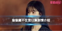 偷偷藏不住第12集剧情介绍 偷偷藏不住分集剧情介绍第12集