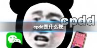 cpdd是什么梗 cpdd是什么意思网络用语王者荣耀