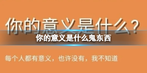 你的意义是什么鬼东西 你的意义是什么测试地址