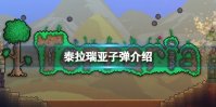 《泰拉瑞亚》爆破弹怎么样 泰拉瑞亚爆破弹介绍