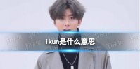 ikun是什么意思 ikun网络用语意思介绍