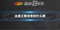 这是王维诗里的什么梗 王维是什么梗