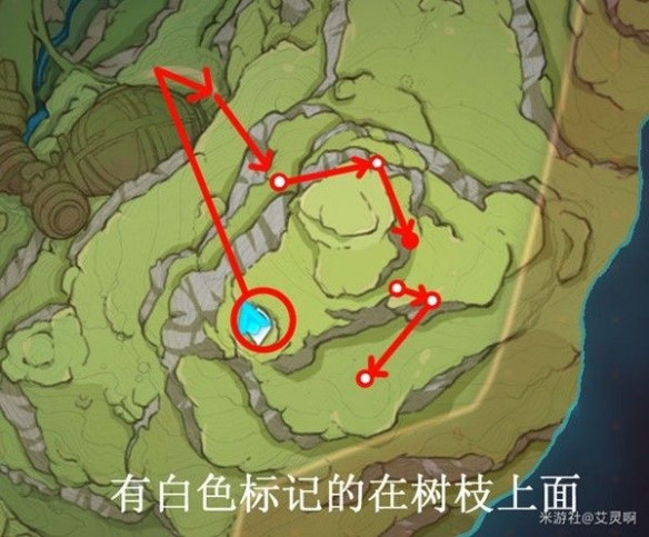 《原神》须弥树王圣体菇采集地点 树王圣体菇采集路线图