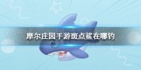 《摩尔庄园手游》斑点鲨在哪钓 斑点鲨位置分布