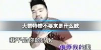 大错特错不要来是什么歌 大错特错不要来侮辱我的美歌词歌名