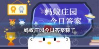 为了让煮出来的粽子蚂蚁庄园 蚂蚁庄园今天正确答案