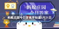 你注意过吗：我国的盲道表面通常是什么形状的凸起 蚂蚁庄园5月21日答案早知