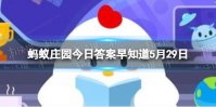 用洗洁精给小朋友做泡泡水,加点什么泡泡不容易破 蚂蚁庄园今日答案早知道