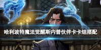 《哈利波特魔法觉醒》斯内普伙伴卡卡组搭配 斯内普伙伴卡回响搭配一览