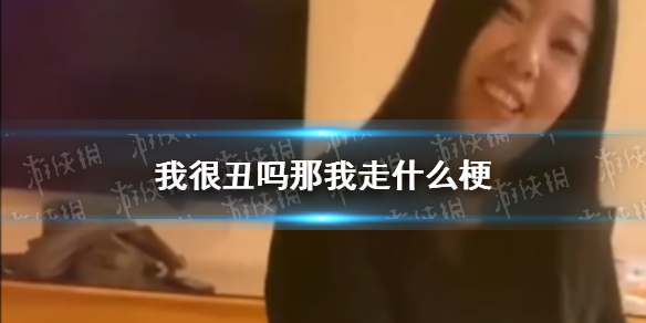 我很丑吗那我走什么梗 我很丑吗那我走原视频分享