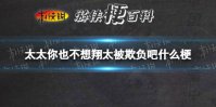 太太你也不想翔太被欺负吧什么梗 夫人你也不想梗介绍