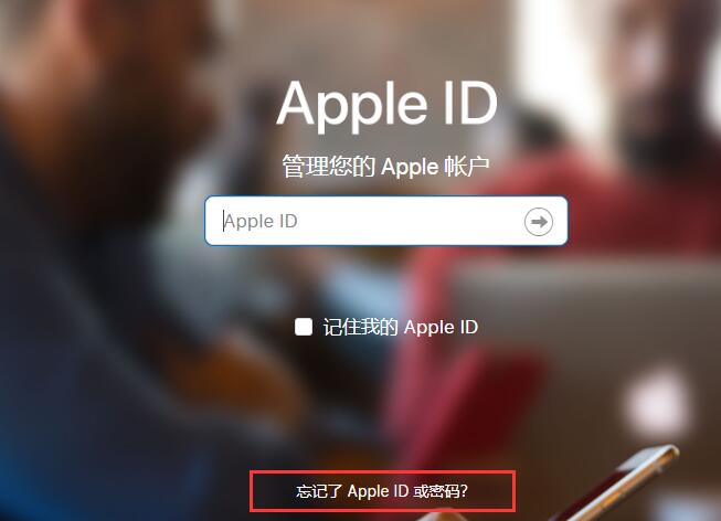 appstore无法登录是什么原因