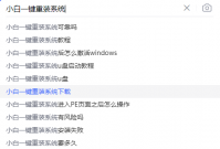 小白系统官网客服在哪里找