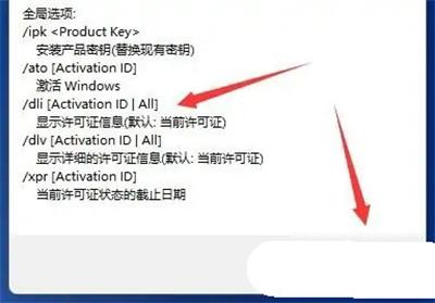 win11怎么看激活信息 win11激活信息查看方法