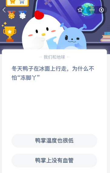 冬天鸭子在冰面上行走，为什么不怕“冻脚丫”？