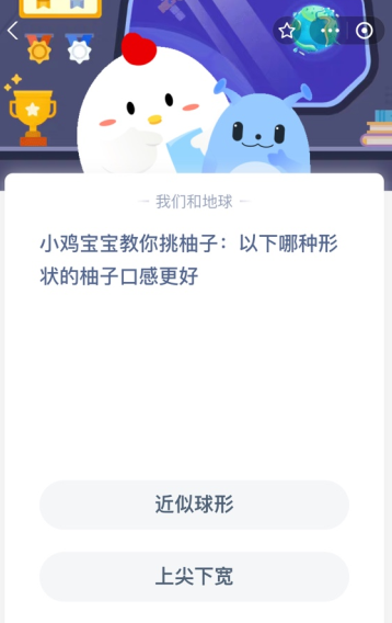 小鸡宝宝教你挑柚子:以下哪种形状的柚子口感更好?