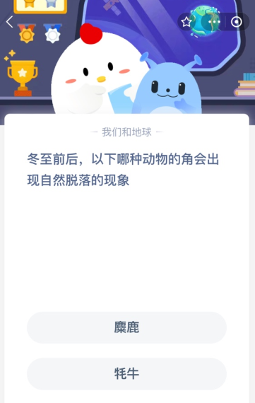 冬至前后,以下哪种动物的角会出现自然脱落的现象?