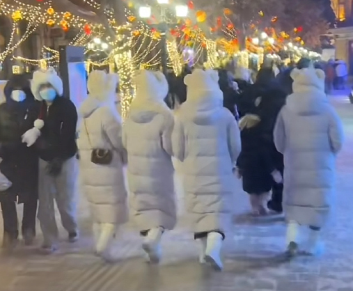 南方小土豆是什么梗?南方小土豆北方叫什么?