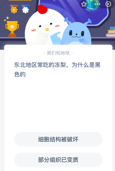 东北地区常吃的冻梨,为什么是黑色的?