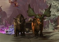 魔兽世界10.0赫米特奈辛瓦里6个任务完成地点在哪 魔兽10.0赫米特奈辛瓦里6个任