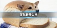 面包狗什么梗 假如我变成面包狗是什么梗
