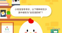 小鸡宝宝考考你，以下哪种树在沙漠中被称为“会流泪的树”？12月17日蚂蚁庄
