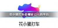 《花小猪打车》是哪家公司的平台 花小猪打车app平台介绍