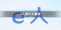 e人是什么意思