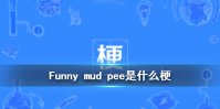 FunnyMudPee是什么意思 funny mud pee是什么梗