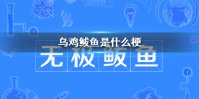 乌鸡鲅鱼是什么梗 乌鸡鲅鱼是什么意思啊