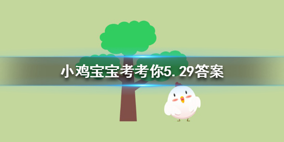 小鸡宝宝考考你哪种动物一生都在换牙,只要牙齿受损立刻会有新的补上