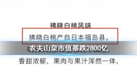 农夫山泉市值暴跌2800亿 或陷入虚假广告风波