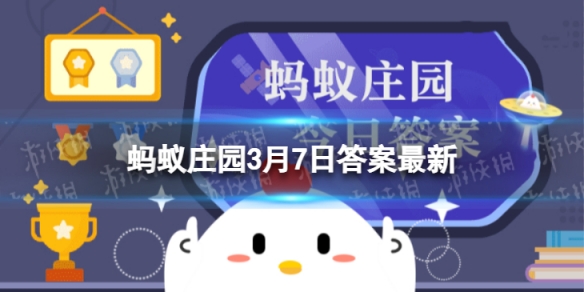 孕妇乘车时，需要系安全带吗 蚂蚁庄园3月7日答案最新