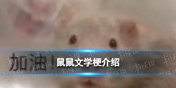 鼠鼠文学是什么意思 鼠鼠文学梗介绍
