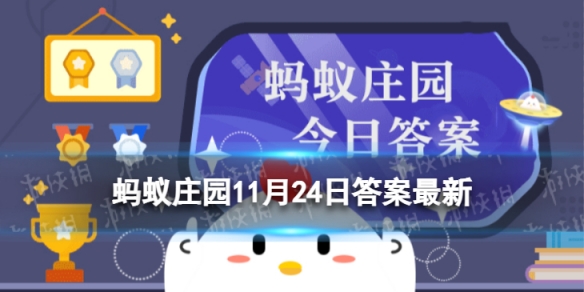 新鲜银杏叶泡水喝能降血压吗蚂蚁庄园 银杏叶泡水喝能不能降血压