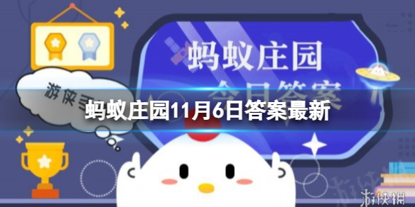 白色的糯米汤圆煮完了表皮变红，还能吃吗？蚂蚁庄园11月6日答案