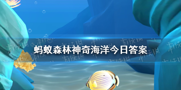 鲸鲨是鲸还是鲨 神奇海洋9月12日答案最新
