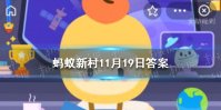 用生蚝壳建房屋的村子是江西礼芳村还是广东小洲村 蚂蚁新村小课堂11月19日答