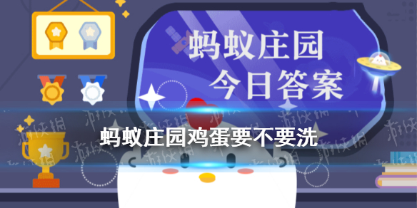 鸡蛋要不要洗 蚂蚁庄园买回散装鸡蛋放进冰箱前要不要先洗一洗
