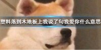 塑料落到木地板上我说了句我爱你什么意思 塑料落到木地板上我说了句我爱你