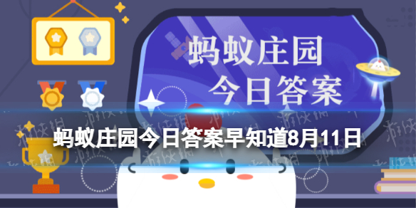 海绵是植物还是动物 蚂蚁庄园海绵8月11日答案早知道