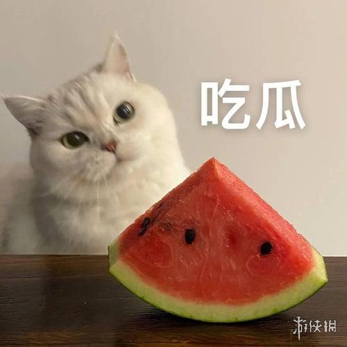 吃瓜表情包
