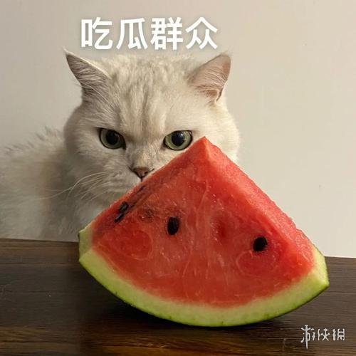 吃瓜表情包