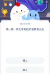 猜一猜:我们平时吃的菠萝是长在？
