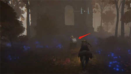 艾尔登法环海市蜃楼魔法师塔怎么进 艾尔登法环海市蜃楼魔法师塔进入攻略