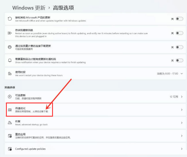 Win11系统打开传递优化功能的方法